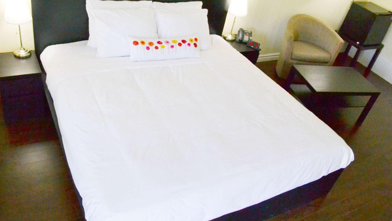 Magnuson Hotel Vow Palmerston Kültér fotó